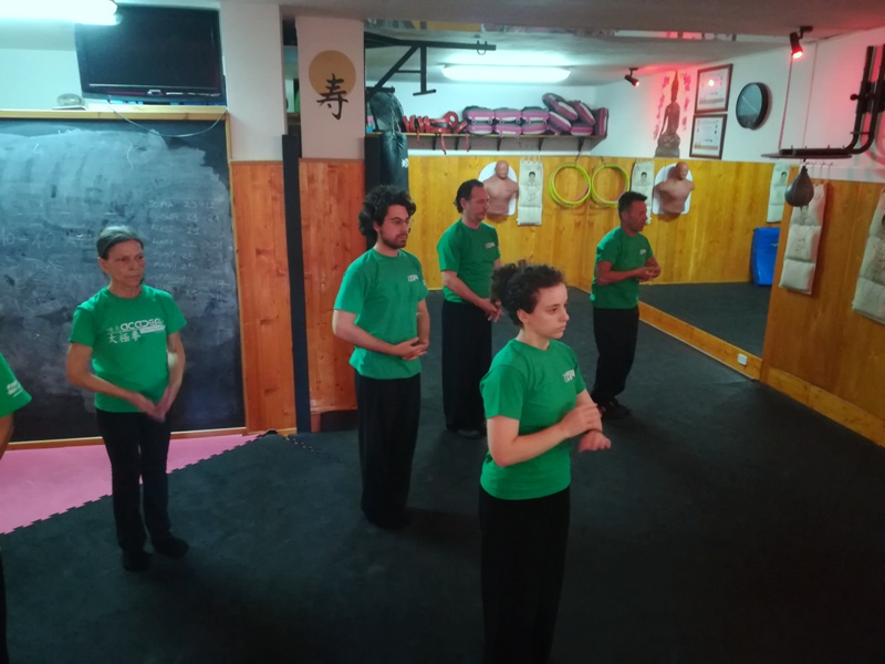 Kung Fu Academy di Sifu Mezzone scuola di wing chun e taijiquan, di wing tsun, difesa personale e arti marziali cinesi a Caserta e in Italia www.kungfuitalia.it (199)